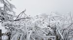 西岭雪山