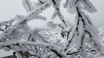 西岭雪山
