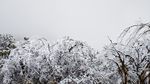 西岭雪山