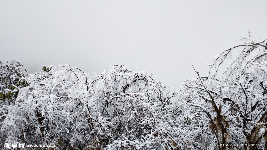 西岭雪山