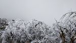 西岭雪山