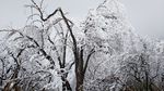 西岭雪山