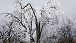 西岭雪山