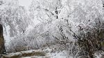 西岭雪山