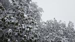西岭雪山