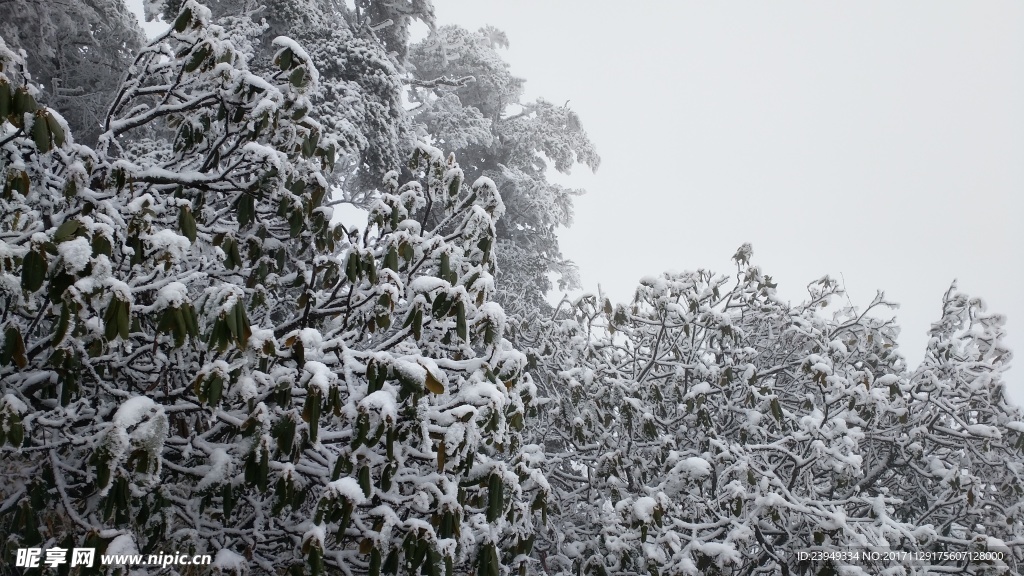 西岭雪山