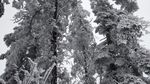 西岭雪山