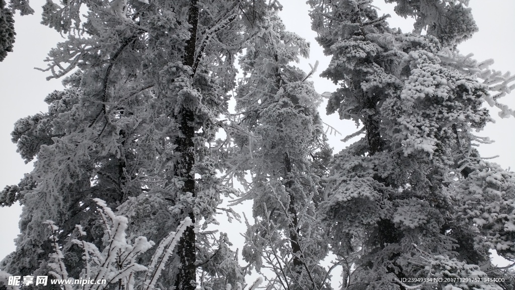 西岭雪山
