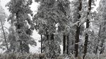 西岭雪山