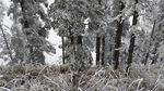 西岭雪山