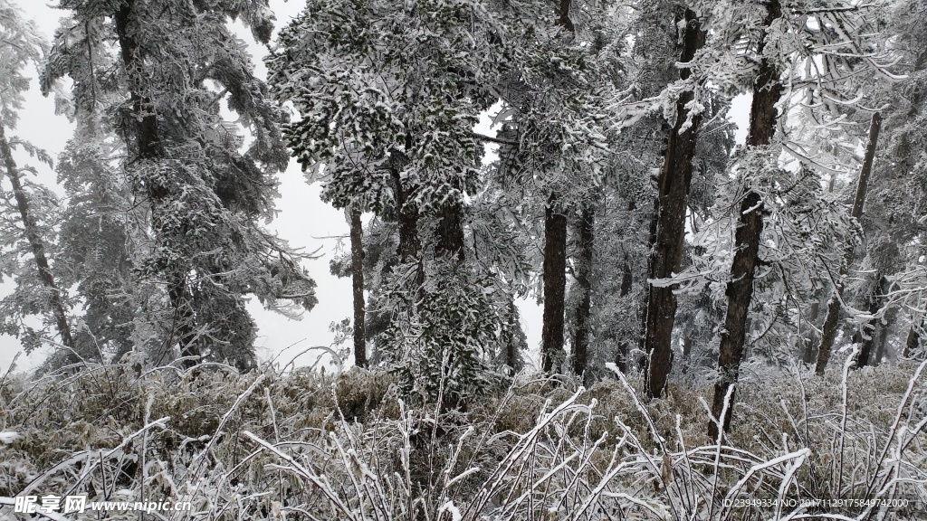西岭雪山