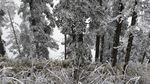 西岭雪山