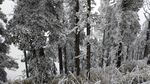 西岭雪山