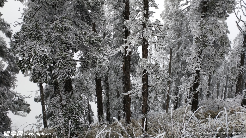 西岭雪山