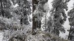西岭雪山