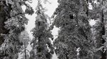西岭雪山