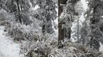 西岭雪山