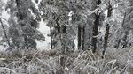 西岭雪山