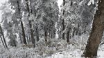 西岭雪山