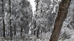 西岭雪山