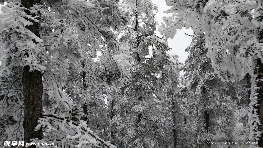 西岭雪山