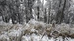 西岭雪山