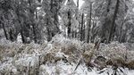 西岭雪山