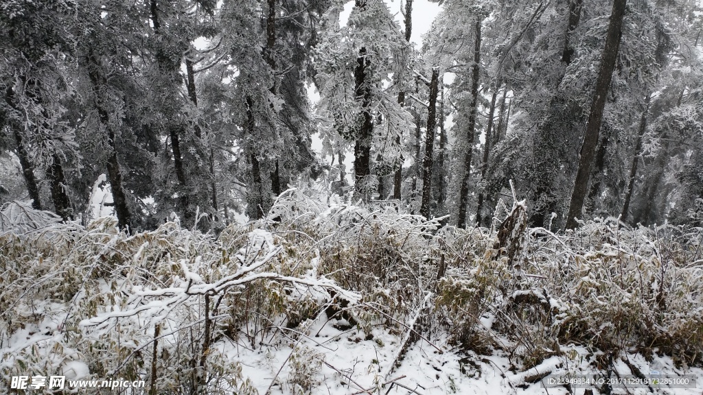 西岭雪山