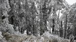 西岭雪山