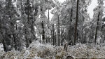西岭雪山