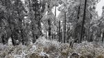 西岭雪山