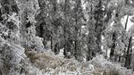 西岭雪山