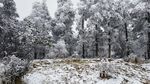 西岭雪山