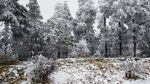 西岭雪山