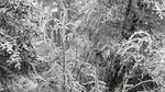 西岭雪山