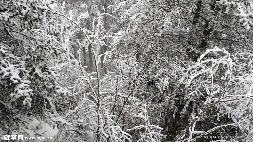 西岭雪山