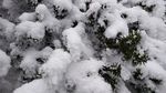 西岭雪山