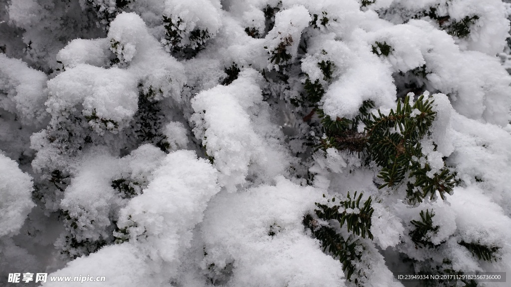 西岭雪山