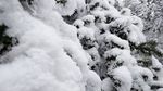 西岭雪山