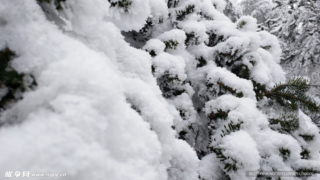 西岭雪山