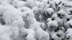 西岭雪山