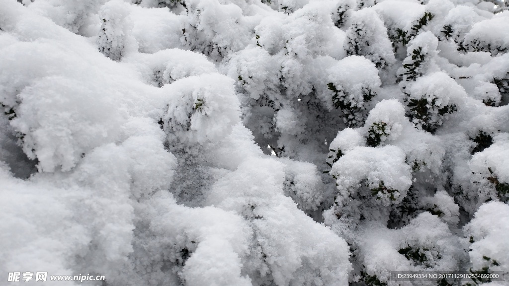 西岭雪山