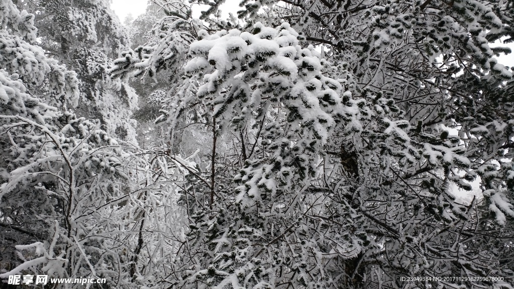 西岭雪山