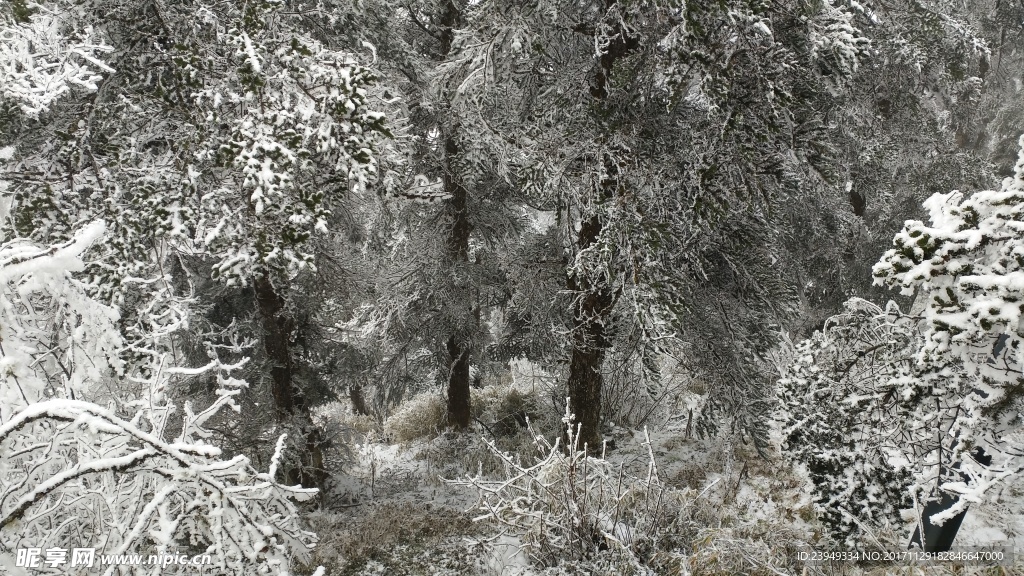 西岭雪山