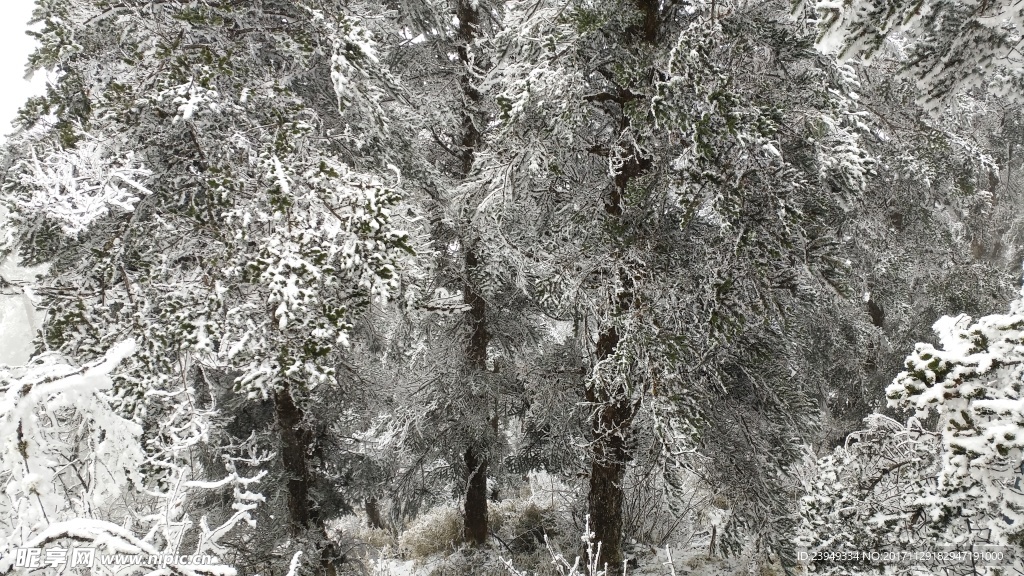 西岭雪山