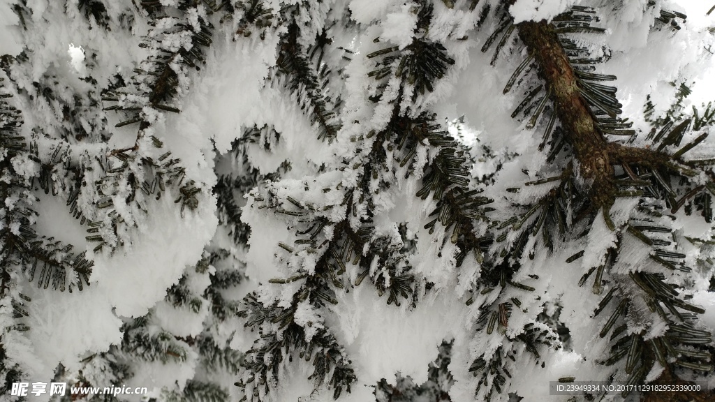 西岭雪山