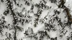 西岭雪山