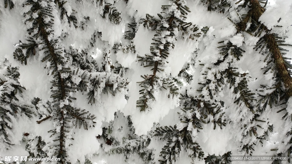 西岭雪山
