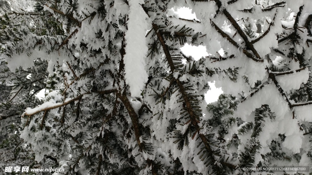 西岭雪山