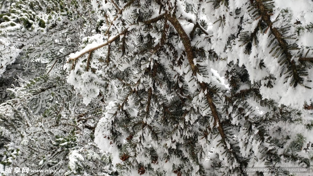 西岭雪山